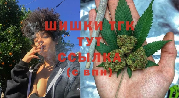 ПСИЛОЦИБИНОВЫЕ ГРИБЫ Белоозёрский