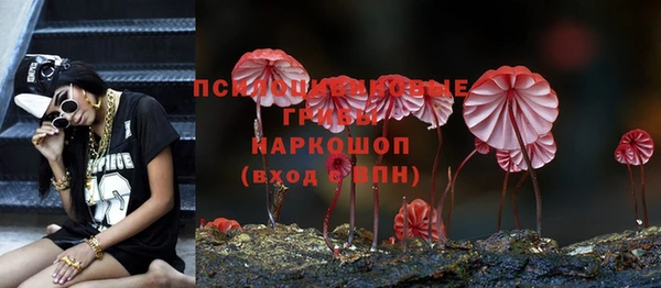 ПСИЛОЦИБИНОВЫЕ ГРИБЫ Белоозёрский