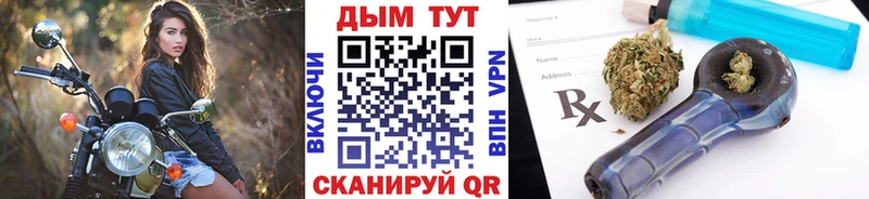 Бошки марихуана гибрид Мезень